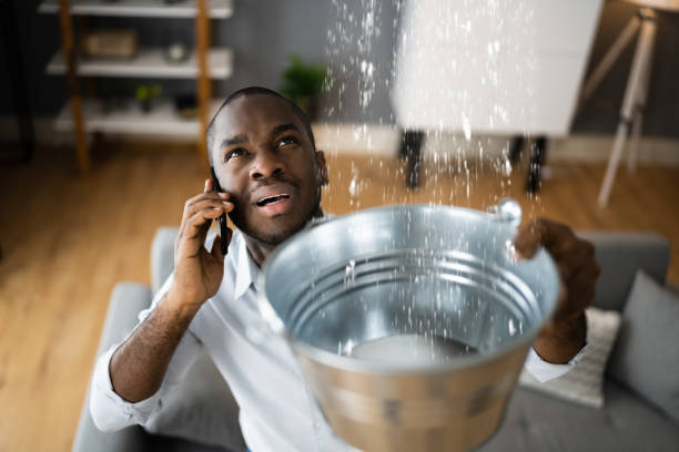 Best Ceiling water damage repair  in Harahan, LA