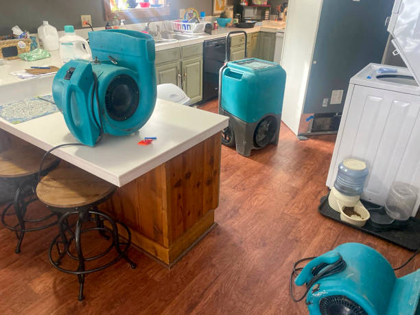 Trusted LA Water damage restoration Experts