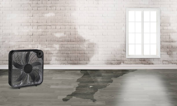Best Fire Damage Restoration  in Harahan, LA