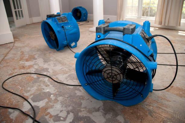 Best Flooded house restoration  in Harahan, LA