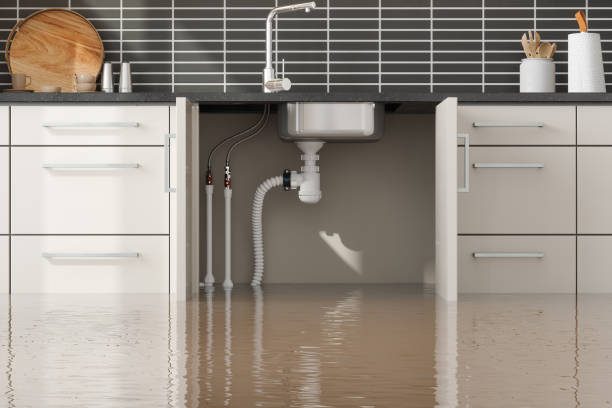 Best Flood damage cleanup  in Harahan, LA