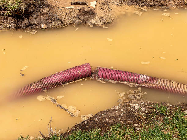 Best Mold removal after water damage  in Harahan, LA
